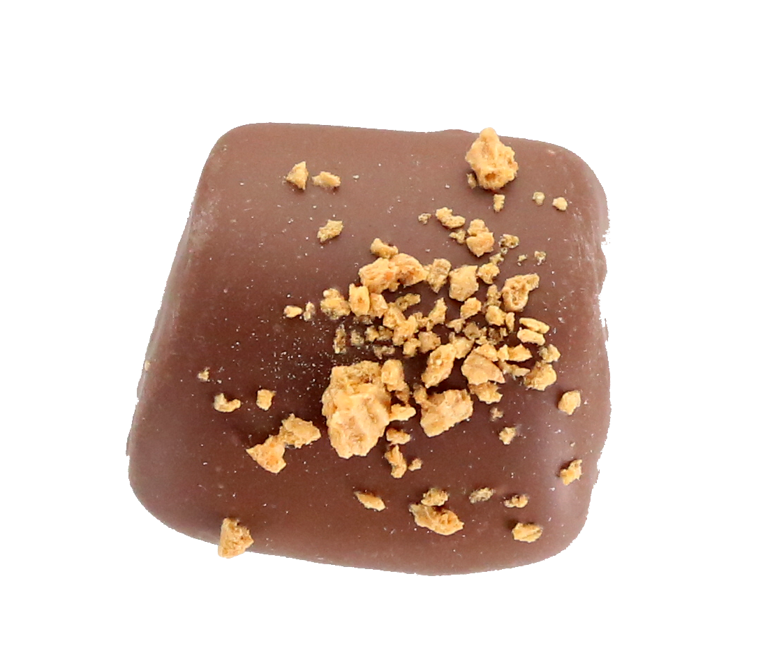 Chocolate Covered Treats