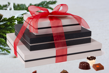 gid://shopify/MediaImage/32327971569923