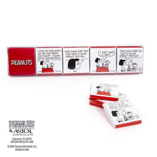 The Flying Ace Peanuts® Travel Comic Strip Milk Chocolate Squares 10pc Set