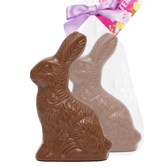 Easter Milk Chocolate 10 oz Solid Bunny