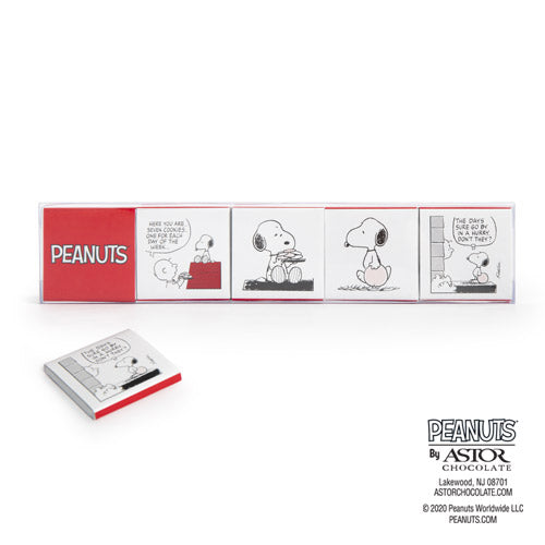 What a Week! Peanuts® Everyday Comic Strip Milk Chocolate 10pc Squares Set