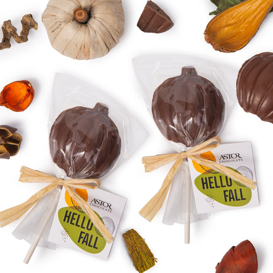 Autumn Collection -  Milk Chocolate Pumpkin Lollipop