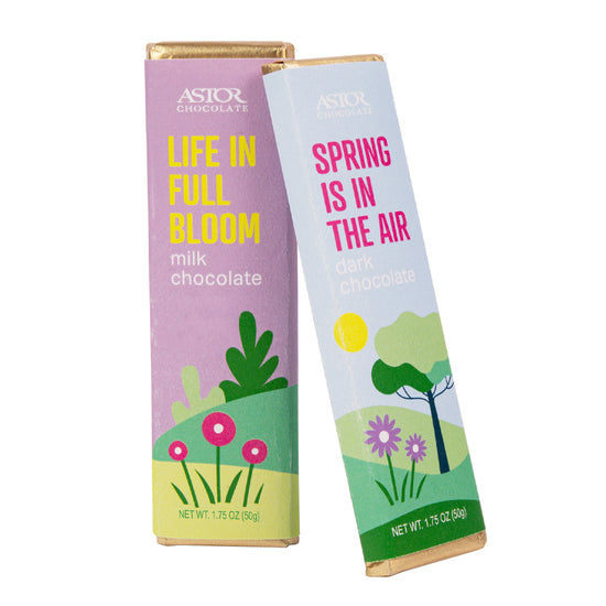 Spring - Signature Chocolate Bars Milk Chocolate & Dark Chocolate 2pc Set 1.5oz
