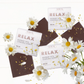 Herbal Deluxe Assorted Squares Tub 120pc