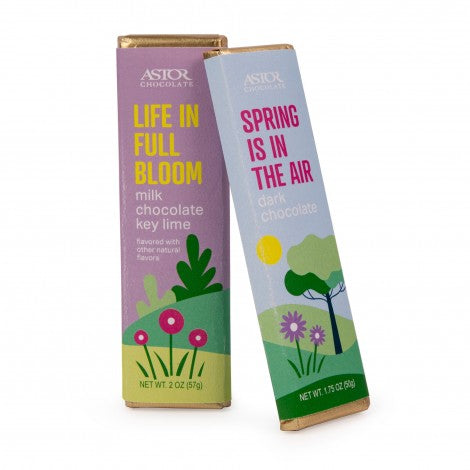 Spring - Signature Chocolate Bars Milk Chocolate & Dark Chocolate 2pc Set 1.5oz